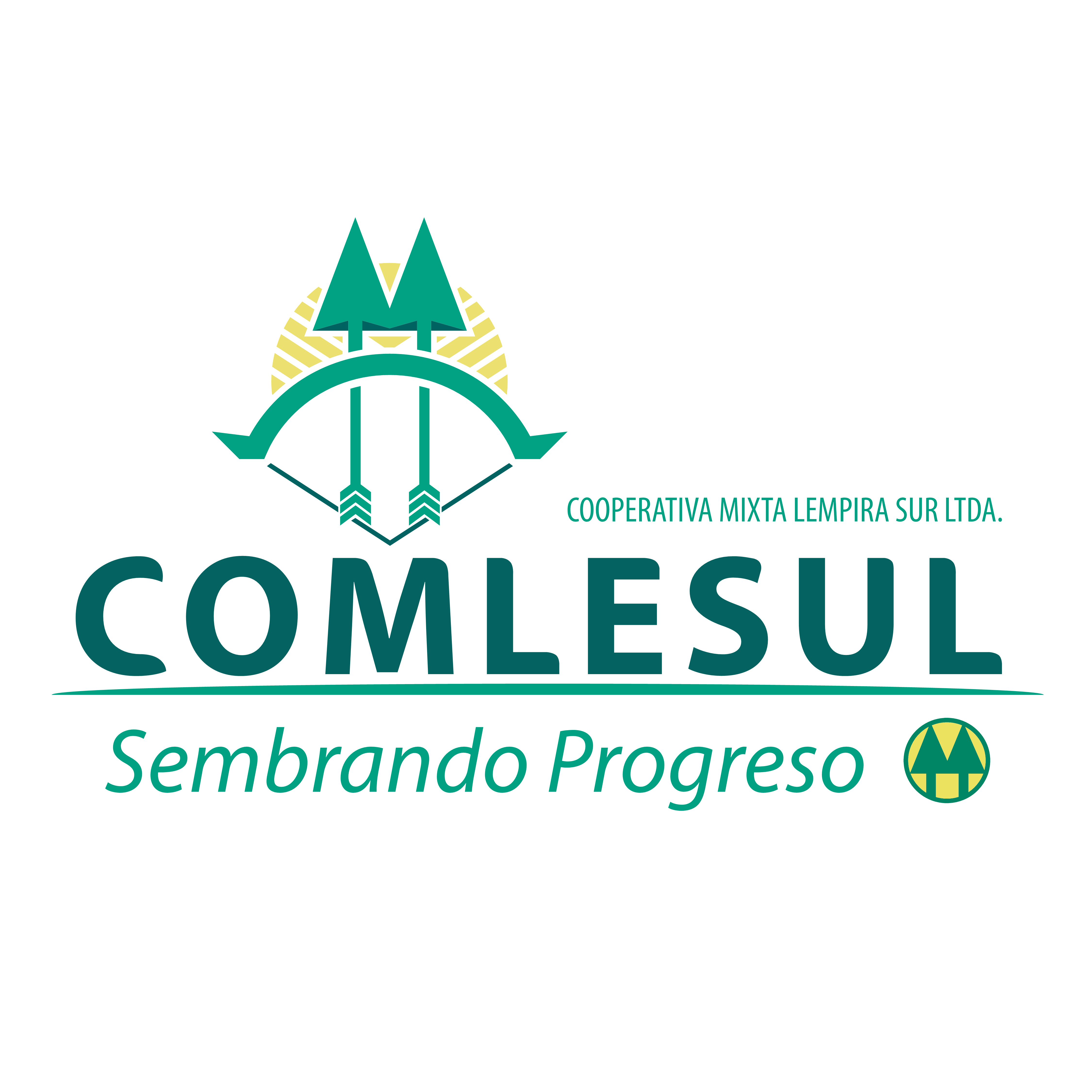 Cooperativa Mixta Lempira Sur Ltda.